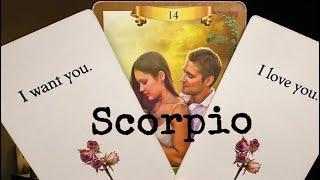 SCORPIO “SOMEONE IS DESPERATELY WANTING YOU, HUG YOU TIGHT & SAY I LOVE YOU! ️ WANT TO DATE”