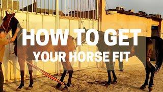 HOW TO GET YOUR HORSE FIT (5 STEPS) - Equestrian Professional Academy