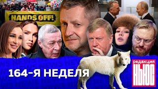 Редакция. News: 164-я неделя