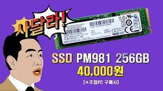 [장우컴퍼니] SSD PM981 256GB 4만원 조립이벤트