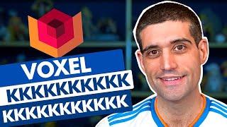 Voxel kkkkkkkkkkkkkkkkkkkkkkkkkkkk