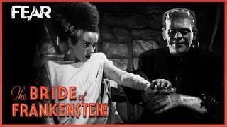 The Monster Meets His Bride | The Bride of Frankenstein (1935)