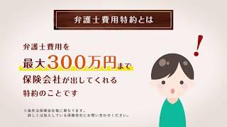 90秒でわかる！【弁護士費用特約とは？】交通事故のご相談は弁護士法人ALG&Associatesへ