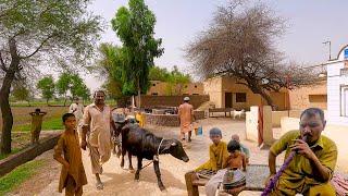 Unseen Haryanvi Village In Pakistan | Rajput Ranghar | Khairari Gaam | District Rohtak Haryana