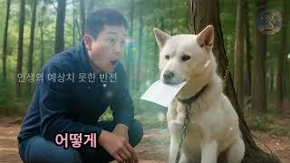 숲에 버려진 개가 이상한 편지를 물고 있었다… 편지를 읽은 노인은 끝내 눈물을 흘렸다!