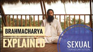 Brahmacharya Explained | Sexual Transmutation