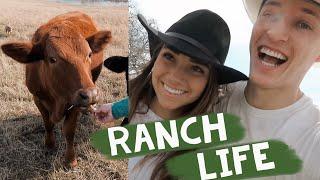 A weekend in our lives on a 100 acre ranch