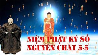 A DI ĐÀ PHẬT, niệm Phật nguyên chất 5-5 , phương pháp thập niệm theo TỔ ẤN QUANG