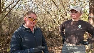 Managing Invasive Bush Honeysuckle