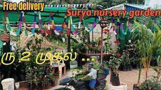 ரு 2 முதல்...செடி கிடைக்கும் Surya Nursery Garden