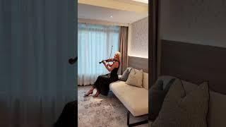 #luminary #violincover #violin #violinist #violinmusic #violino #artist #скрипка