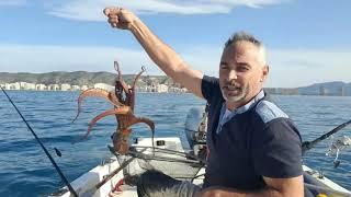 pesca de sepias  deriva y currican