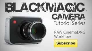 Blackmagic Camera RAW CinemaDNG Workflow for DaVinci Resolve