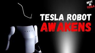 BREAKING: The Tesla Bot AWAKENS - Tesla's Optimus Robot Stuns AI Experts!