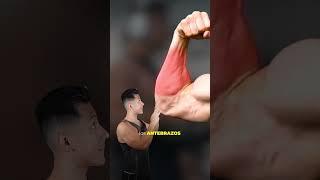 Como entrenar brazos de forma inteligente