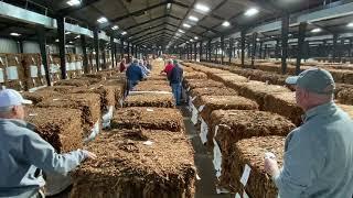 The Wilson Times - Tobacco auctions wrap up for season