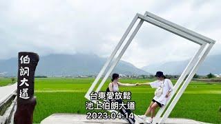 「台東愛放鬆」池上伯朗大道（稻子聽音樂，充滿藝術的地方）