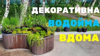 Створення декоративної водоймиПідбір місця, рослин, секрети