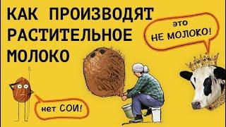 Как производят РАСТИТЕЛЬНОЕ МОЛОКО || Разбираем состав и цикл производства растительных напитков