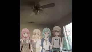 A potato flew around my room before you came... (Pasupare Vine)