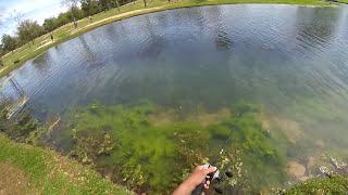 Mary Jo Peckham Bass fishing (Katy, Tx)