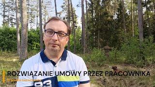 Rozwiązanie umowy o pracę przez pracownika bez okresu wypowiedzenia