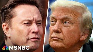 Democrats ‘trying to stand up to Trumpism, stand up to Elon Musk’: Fmr. Florida Rep.