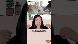 자폐가 의심된다면 3가지 부터 해보시고 관찰해 보세요