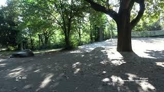 Baskettballfeld im Silberburgpark - Stuttgart