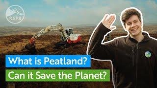 What is peatland and how can it save the planet? | Nature Explained from RSPB