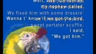 BirdforCmasDinnerEmail.wmv