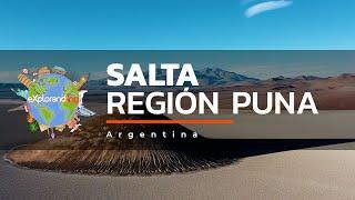 SALTA into #eXploranding ️ | THE PUNA - Part 1 