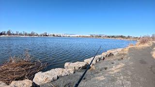 Exploring Denver’s Fishing Spots!!