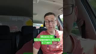 Можно ли кастрировать кота в 6-7 лет?