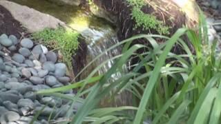 Self realization garden (Watch in HD)