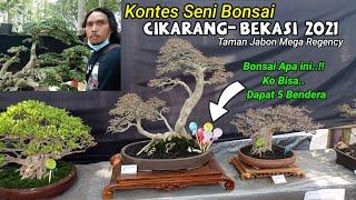 Bonsai Cikarang Bekasi Mega Regency Pameran Dan Kontes