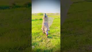 #new #balochi #balochimusic #baloch #𝚐𝚒𝚛𝚕#viralvideo 