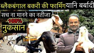 बकरी पालन का काला सच जिसे जानते सब हैं पर मानते नहीं | Reality of goat farming | Farming | bakrifarm