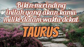 TAURUS BIKIN MERINDING  INILAH YANG AKAN KAMU MILIKI DALAM WAKTU DEKAT 