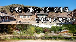 「대구에 있는 지장기도 도량으로 유명한 천년 고찰, 남지장사와 북지장사를 소개 합니다」 「산사여행160」