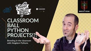 Breeding Ball Pythons in the CLASSROOM??