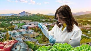 Reducing the carbon footprint of our food | The University of British Columbia