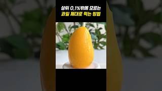 상위 0.1밖에 모르는 과일 제대로 먹는 방법들