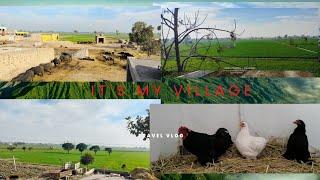 visit of my village/ gaun ki sair/ beauty of the nature/