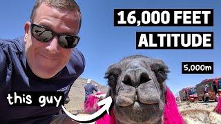 HIGH ALTITUDE EFFECTS | Colca Canyon, Peru Two-Day Tour