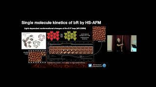 Simon Scheuring - Breaking Speed and Resolution Limitations of AFM | Nano meets Quantum 2022