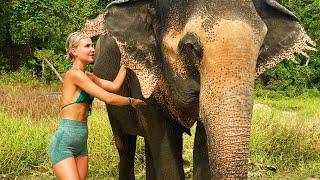 The ULTIMATE Thailand Day: Elephants, Beaches & a Life-Changing Moment!