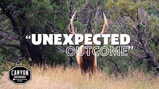 Unexpected Outcome | Arizona Archery Bull Elk Hunt