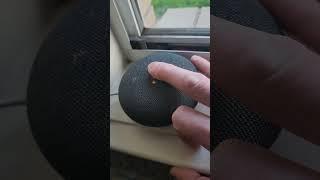 how to factory reset Google nest mini