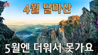 남도의 금강산  달마산  도솔암의일출  진달래와 어우러진 암릉을 걸어보아요